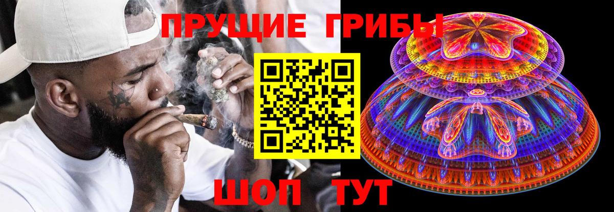 Ливны  Псилоцибиновые грибы Psilocybine cubensis  Вход с VPN 